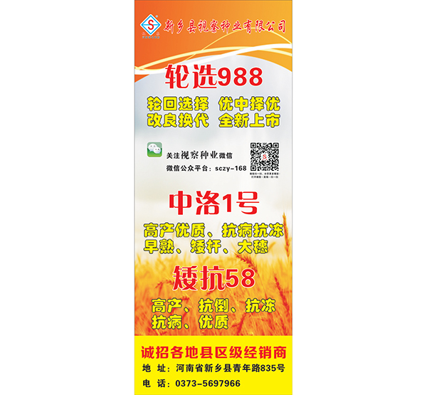 展架