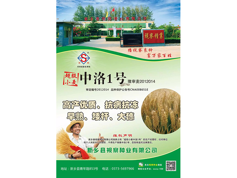 中洛一號(hào)