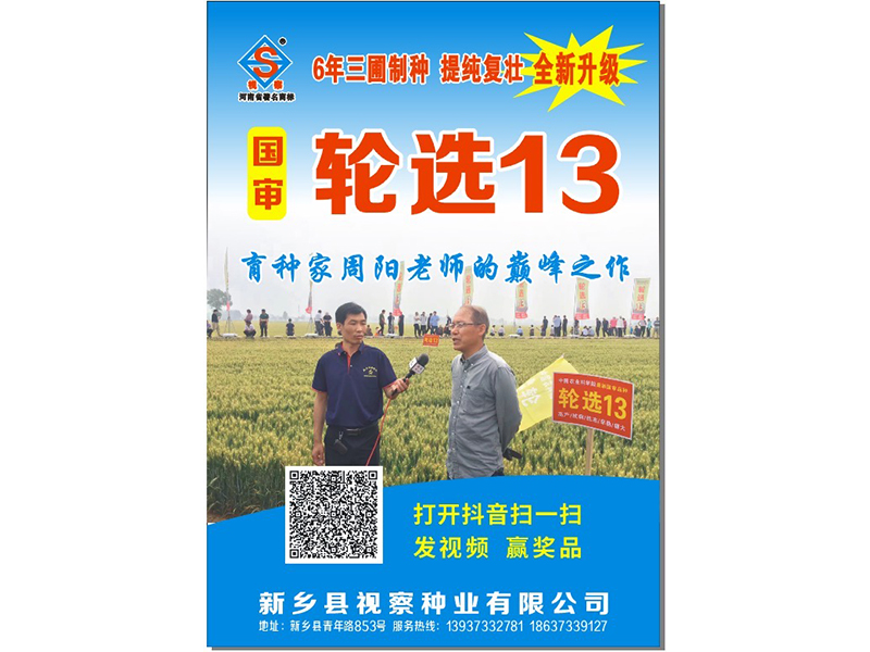 輪選13